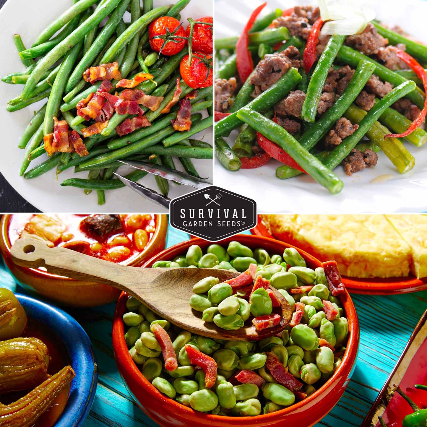 Bean Seed Collection – Contender Bush Beans, Kentucky Wonder Pole Beans & Henderson Lima Beans