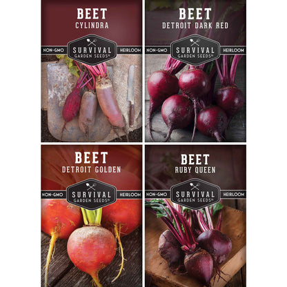 Beet Seed Collection – Cylindra, Ruby Queen, Detroit Dark Red & Golden Beets