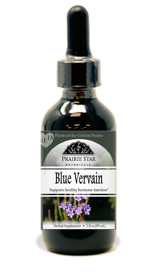 Blue Vervain