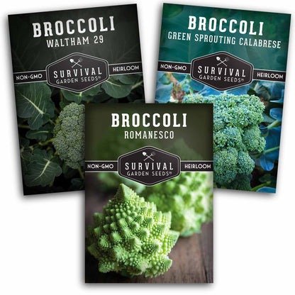 Broccoli Seed Collection - 3 Reliable Broccoli Varieties
