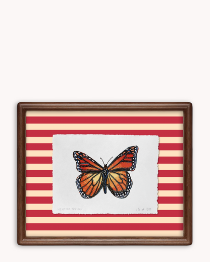 Monarch Butterfly Limited Edition Framed Print