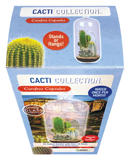 Cacti Collection Glass Terrarium Seed Starting Kit