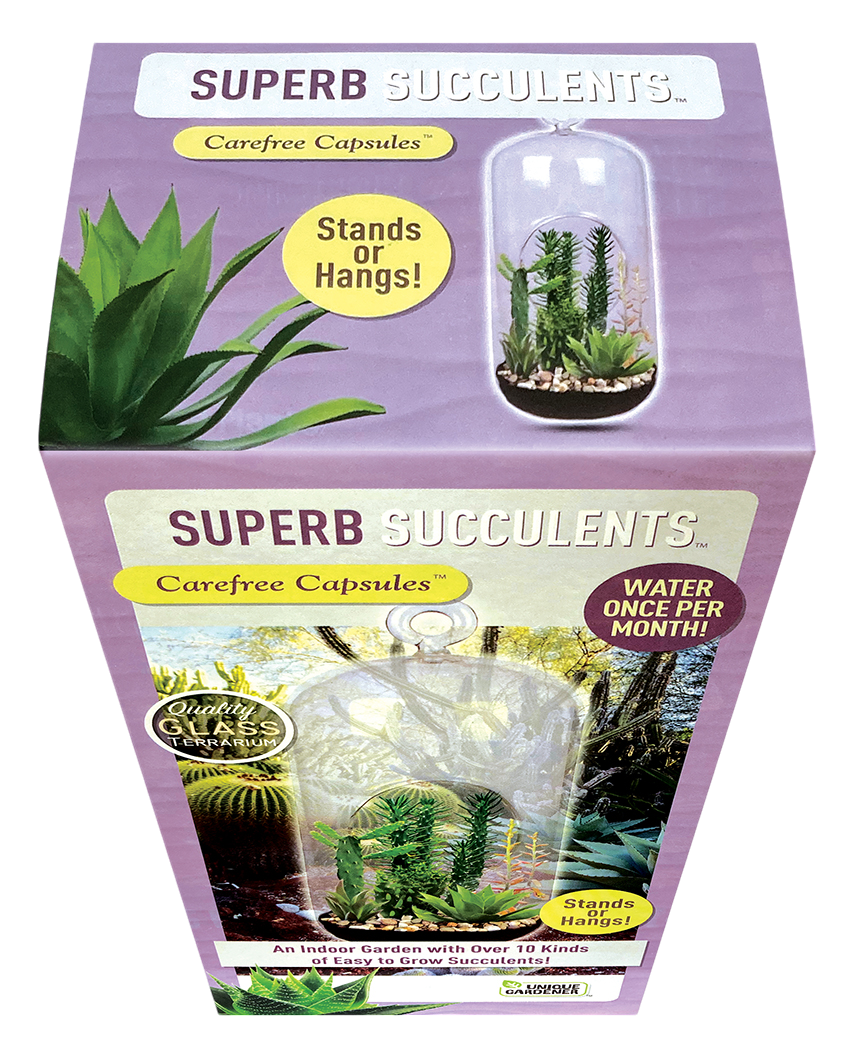 Superb Succulents Glass Terrarium Seed Starting Kit