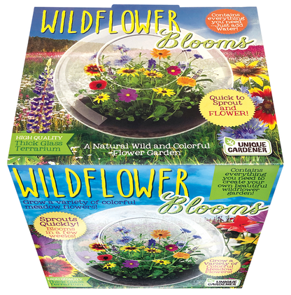 Wildflower Blooms Glass Terrarium Seed Starting Kit