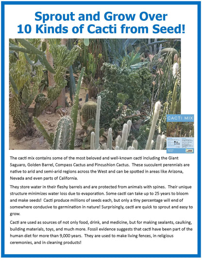 Cacti Collection Glass Terrarium Seed Starting Kit