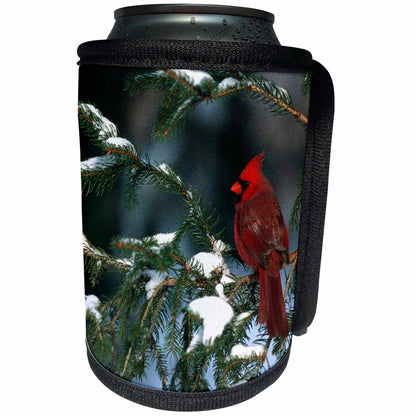 3dRose Danita Delimont - Cardinal - Northern Cardinal male in spruce tree in winter Illinois - Can Cooler Bottle Wrap (cc_250947)