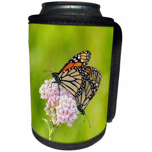 3dRose Danita Delimont - Butterflies - Monarch Butterflies male and female on Swamp Milkweed, Marion Co, IL - Can Cooler Bottle Wrap (cc_259319)