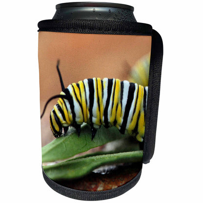 3dRose Stamp City - insects - Macro photograph of a monarch caterpillar munching on milkweed. - Can Cooler Bottle Wrap (cc_325105)