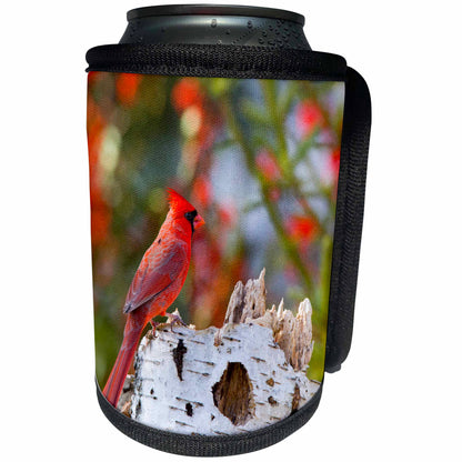 3dRose Male northern cardinal Marion County, Illinois. - Can Cooler Bottle Wrap (cc_331429)