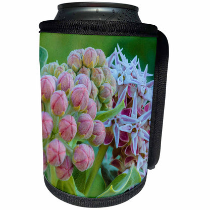 3dRose Milkweed flowering at Makoshika SP in Glendive,... - Can Cooler Bottle Wrap (cc_331668)