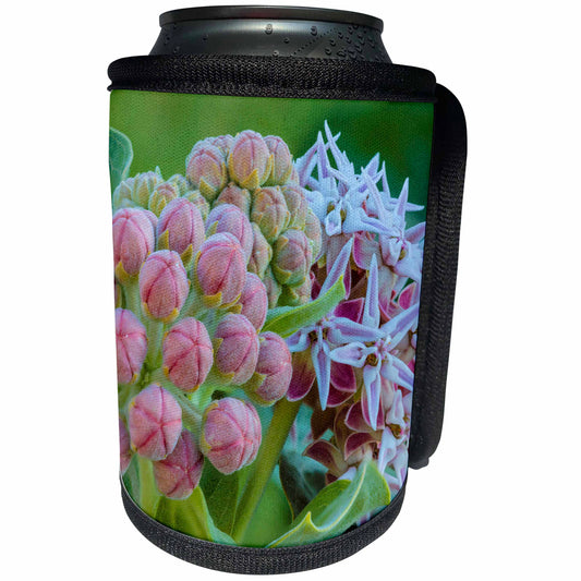 3dRose Milkweed flowering at Makoshika SP in Glendive,... - Can Cooler Bottle Wrap (cc_331668)