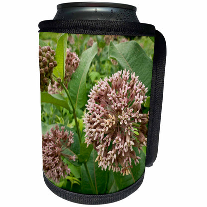 3dRose Danita Delimont - Flora - Minnesota, Eagan, Jenson Lake Park, milkweed flora - US24 RSP0011 - Rob Sheppard - Can Cooler Bottle Wrap (cc_91470)