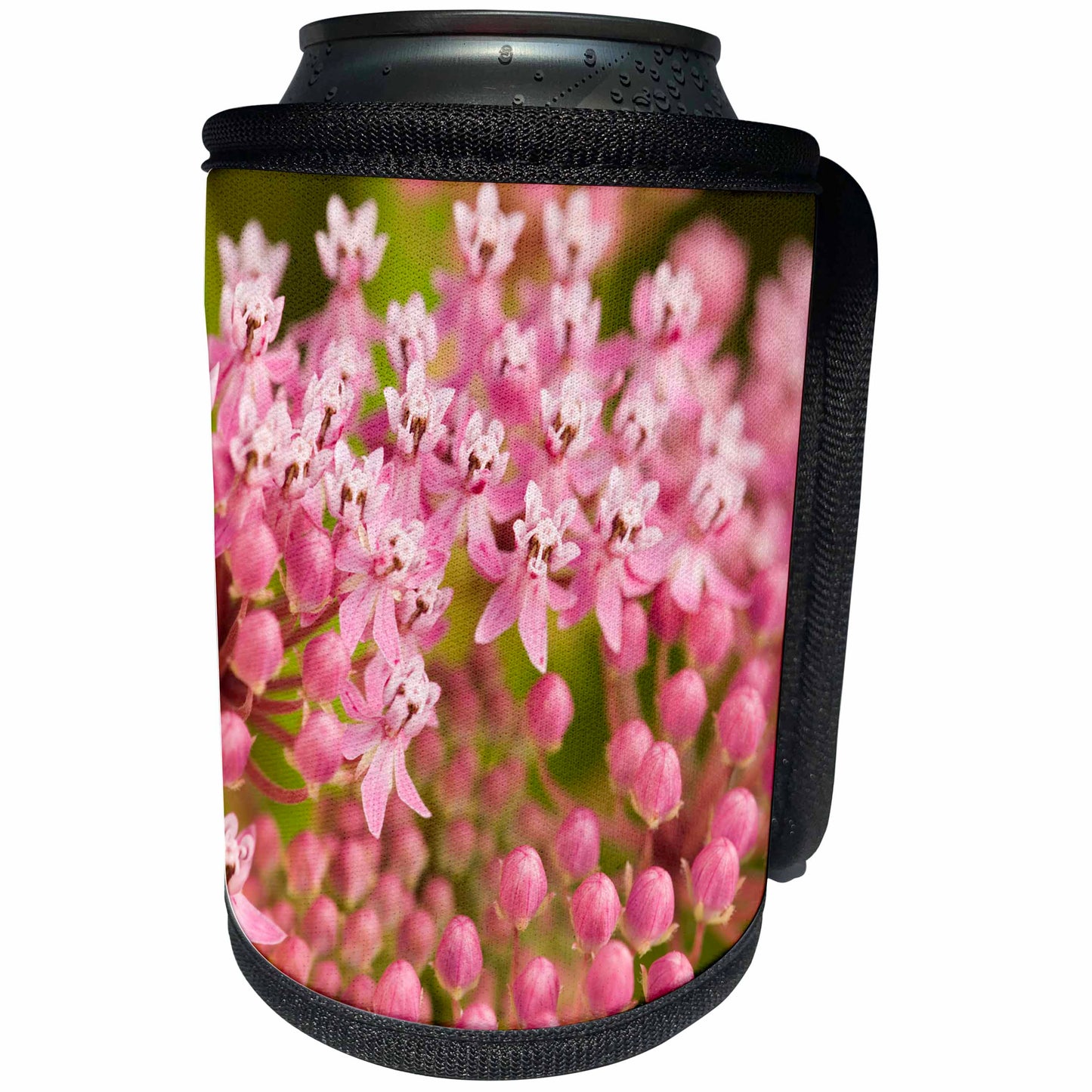 3dRose Danita Delimont - Flora - North Carolina, Swamp milkweed flora - US33 JWL0002 - Joanne Wells - Can Cooler Bottle Wrap (cc_93103)