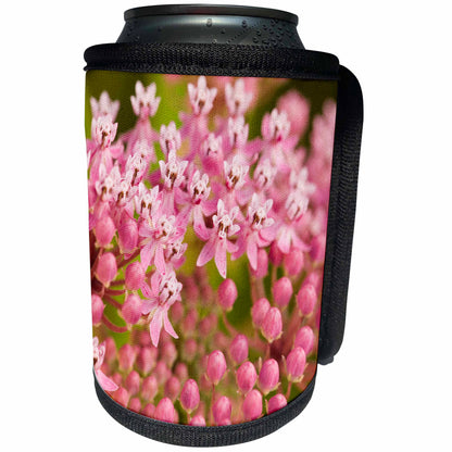 3dRose Danita Delimont - Flora - North Carolina, Swamp milkweed flora - US33 JWL0002 - Joanne Wells - Can Cooler Bottle Wrap (cc_93103)