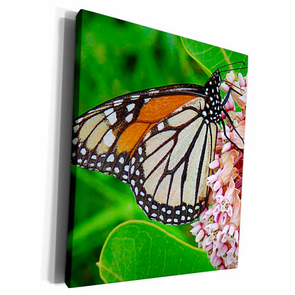 3dRose Monarch Butterfly and Milkweed by Angelandspot - Museum Grade Canvas Wrap (cw_10930)