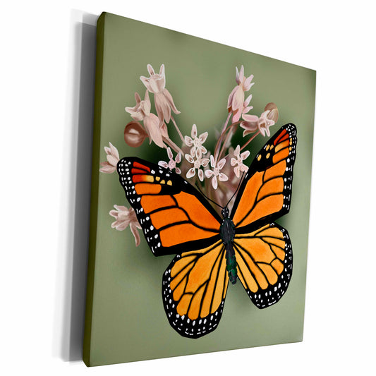 3dRose Monarch Butterfly and Pink Milkweed - Museum Grade Canvas Wrap (cw_212839)