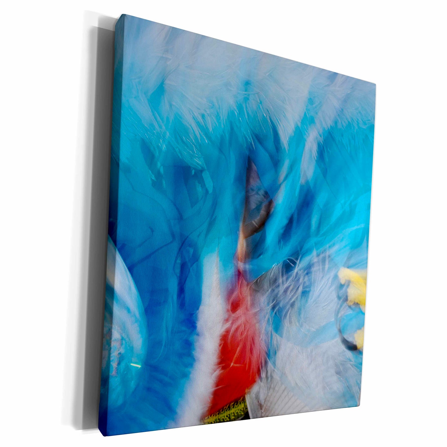 3dRose Native American Indian dance, Montana - US27 AJE0092 -... - Museum Grade Canvas Wrap (cw_91578)