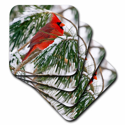 3dRose ToryAnne Collections Animals - Red and Black Cardinal Perched in Snowy Pine Tree - Coasters (CST_112146)