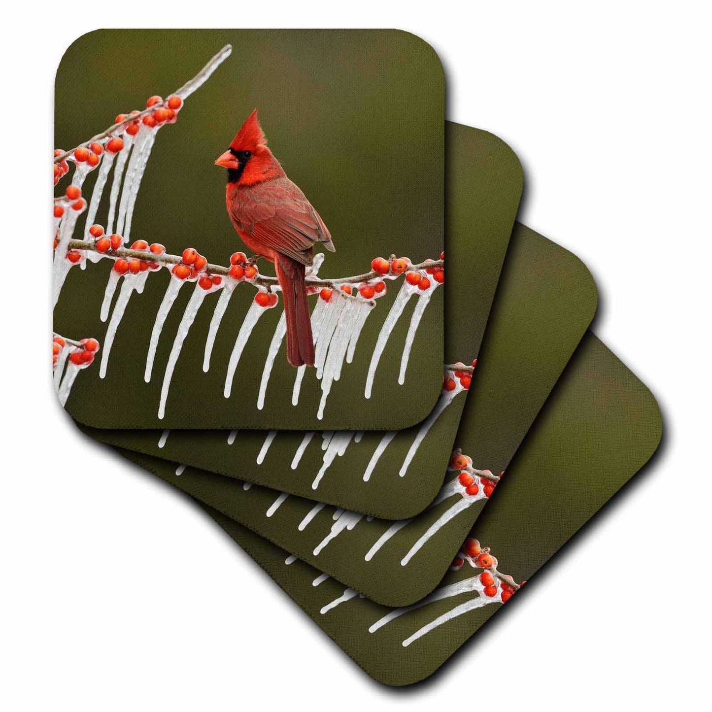 3dRose Danita Delimont - Songbirds - Northern Cardinal on ICY Branch of Holly, Hill Country, Texas - Coasters