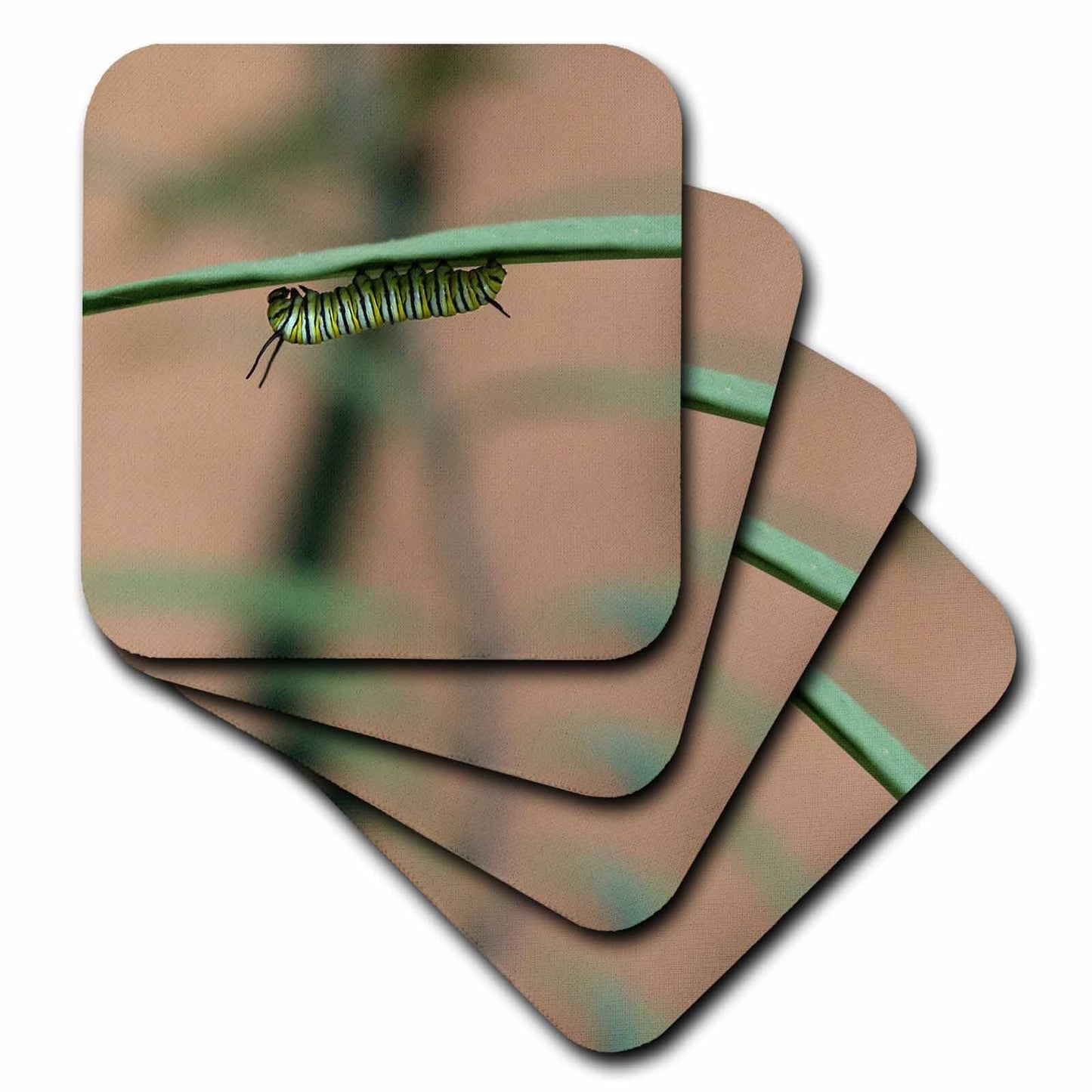 3dRose Stamp City - Insects - Photograph of a Monarch Caterpillar chowing Down on a Milkweed Plant. - Coasters