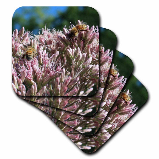 3dRose Cassie Peters Bees - Honey Bees on Swamp Milkweed - Coasters (CST_326239)