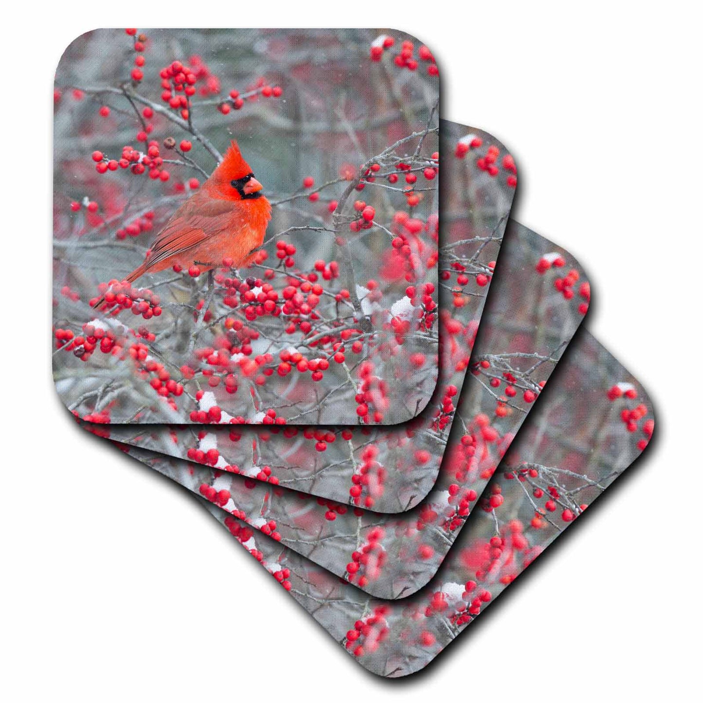 3dRose Northern Cardinal Male in Winterberry Bush, Marion County, Illinois - Coasters (CST_331333)