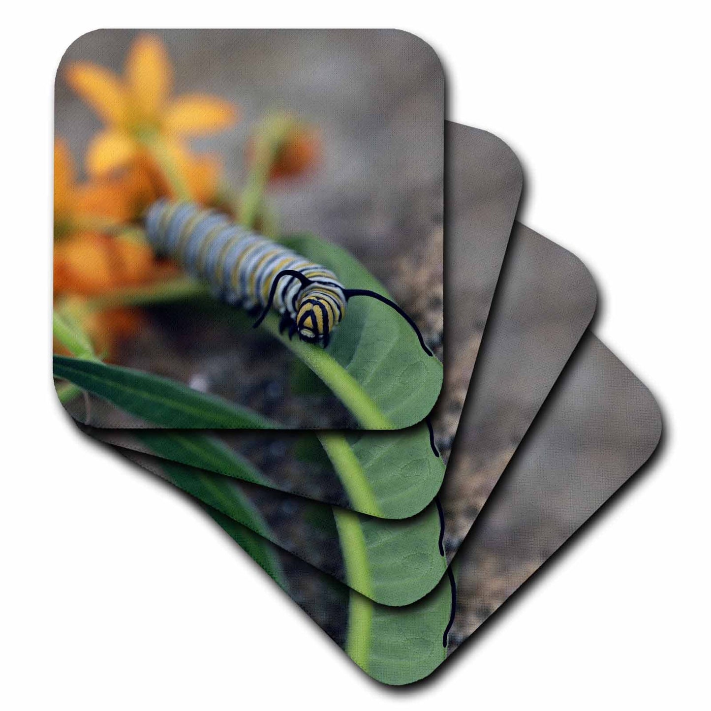 3dRose Macro Photo of a Monarch Caterpillar Munching of Tropical Milkweed. - Coasters (CST_335390)