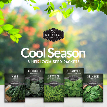 Cool Weather Garden Seeds Collection – 5 Heirloom Non-GMO Vegetables for Fall & Spring Planting | Cold-Hardy Greens & Herbs