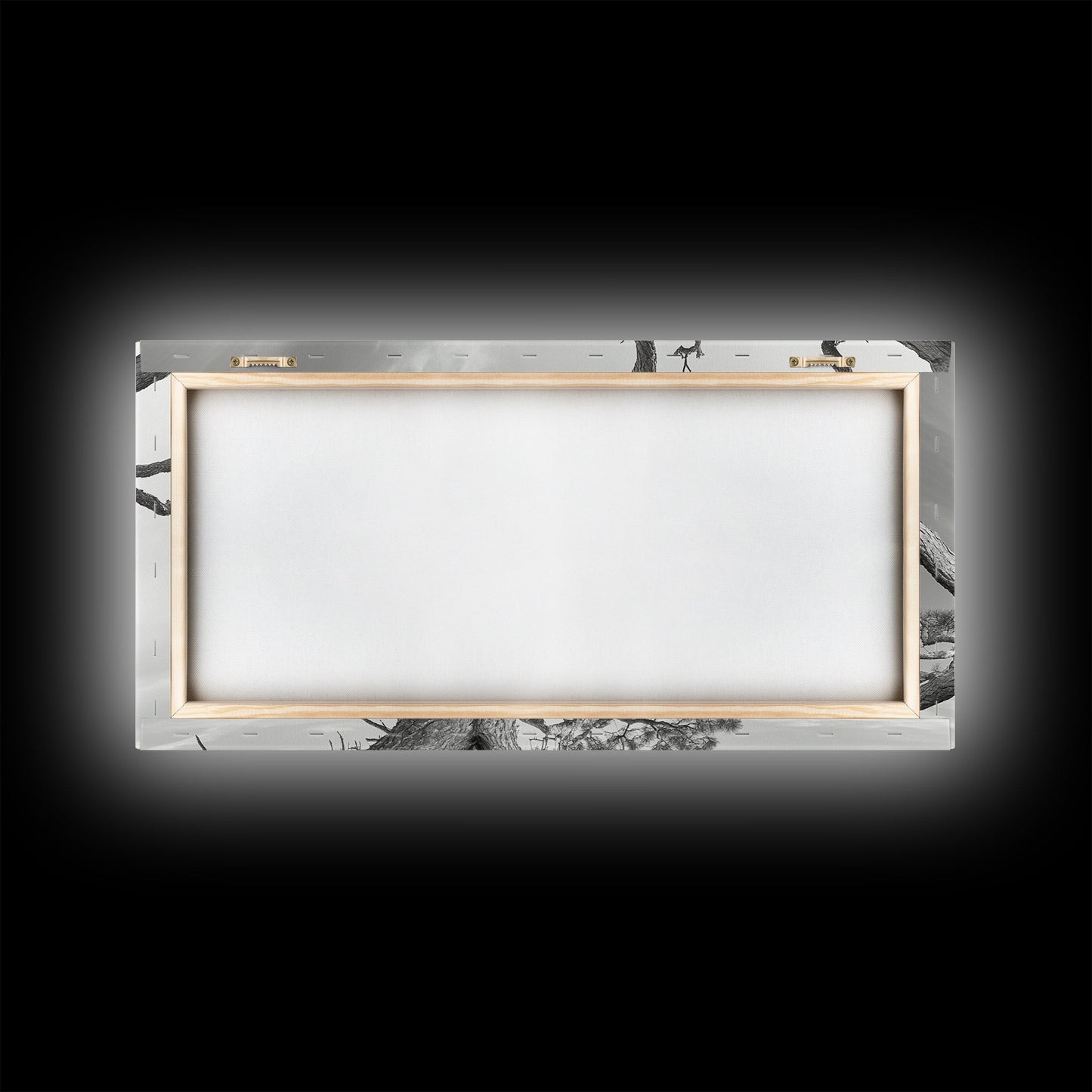 Bald Eagle Nest, Wildlife Nature Art, Rustic Cabin Decor, Framed Canvas Print, Patriotic Office Wall Art, Woodland Photography