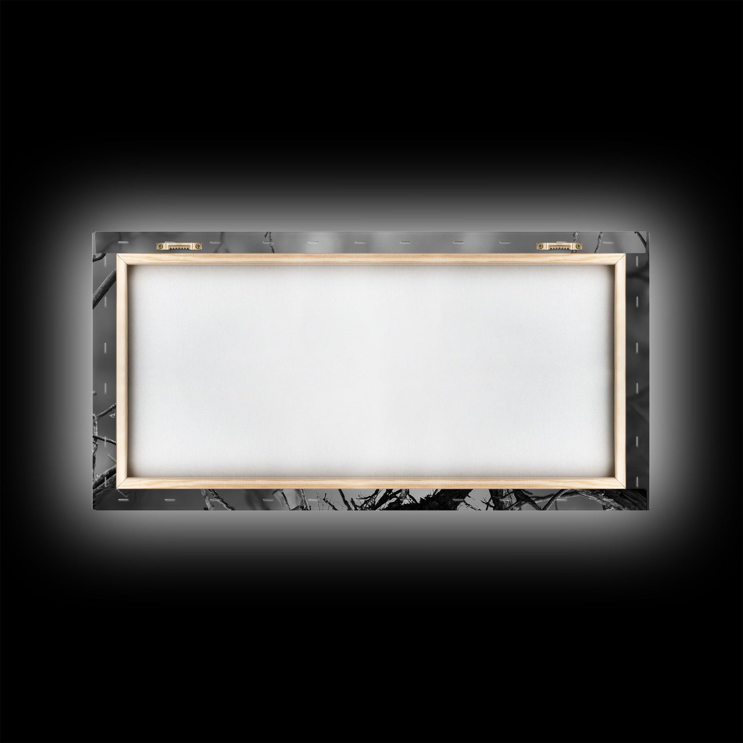 Bald Eagle, Monochrome Nature, Wildlife Photography, Fierce Majesty, Framed Canvas Print, Office Wall Art, Black White Bold Bird Scene