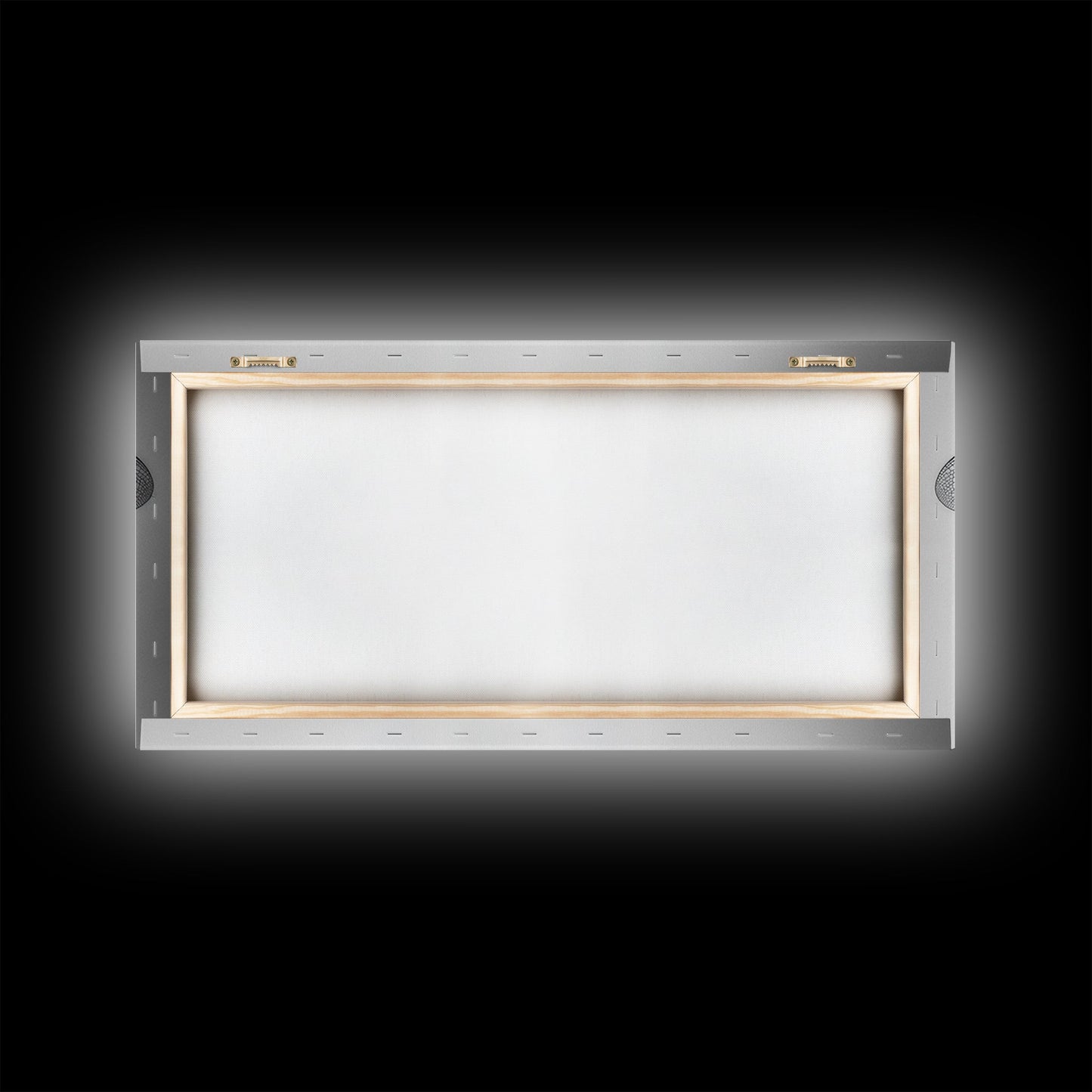 Dragonfly, line art, minimalist art, black and white art, nature painting, botanical prints, extra wide art, framed canvas print