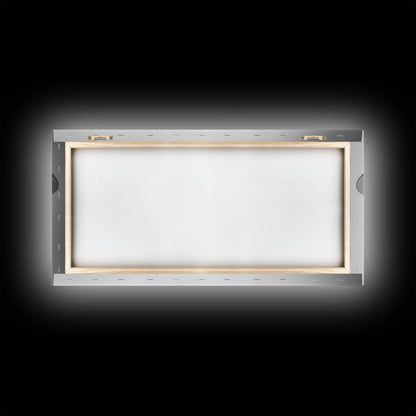 Dragonfly, line art, minimalist art, black and white art, nature painting, botanical prints, extra wide art, framed canvas print