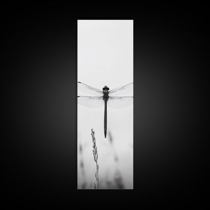 Dragonfly, Nature Wall Art, Insect Print, Minimalist Style, Canvas Print, Neutral Wall Decor, Bedroom Wall Art, Boho Botanical Insect