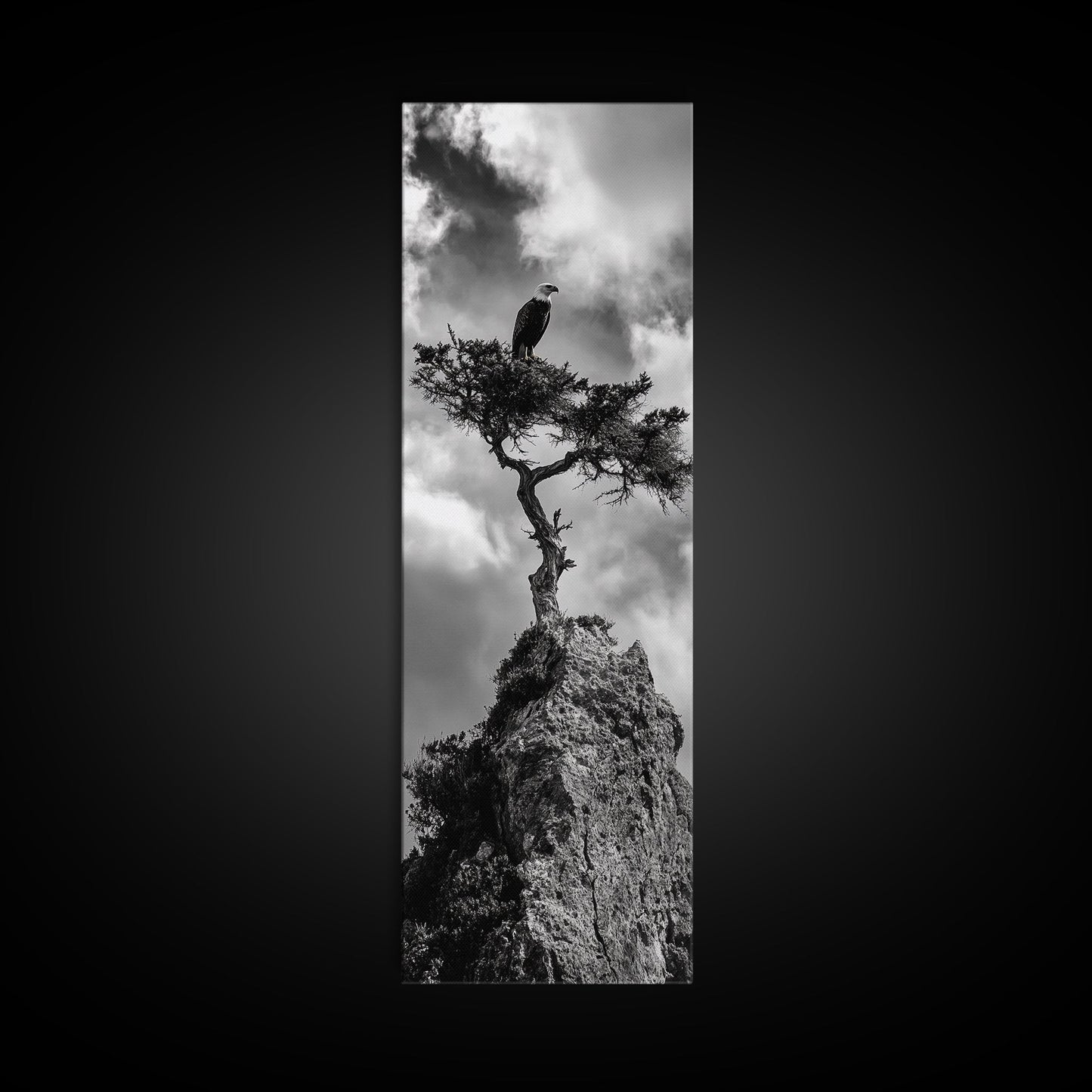 Eagle Tree, Cliff Perch, Bold Wildlife, Adventure Decor, Framed Canvas Print, Rustic Cabin Wall Art, American Symbolic Art