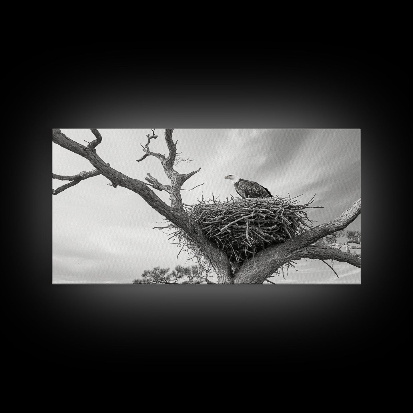 Bald Eagle Nest, Wildlife Nature Art, Rustic Cabin Decor, Framed Canvas Print, Patriotic Office Wall Art, Woodland Photography