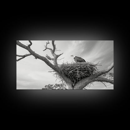 Bald Eagle Nest, Wildlife Nature Art, Rustic Cabin Decor, Framed Canvas Print, Patriotic Office Wall Art, Woodland Photography