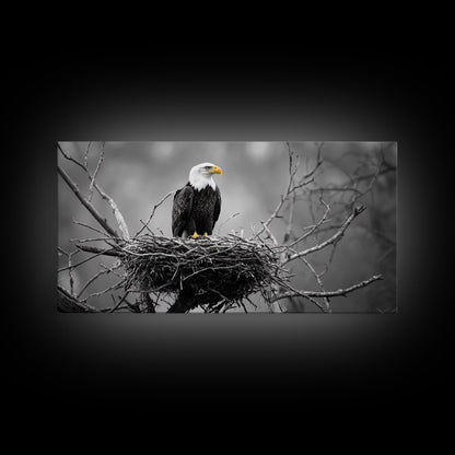 Bald Eagle, Monochrome Nature, Wildlife Photography, Fierce Majesty, Framed Canvas Print, Office Wall Art, Black White Bold Bird Scene