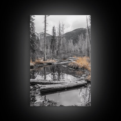 Forest Pond, Moody Woods, Black and White, Autumn Grass, Framed Canvas Print rustic cabin art, nature wall decor, woodland living room art