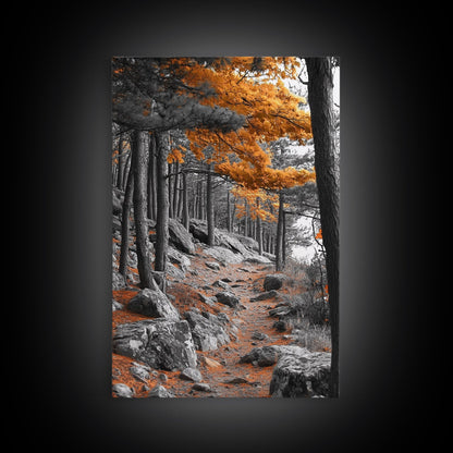 Autumn Forest Path, Orange Leaves, Rocky Woods Trail, Tranquil Nature, Framed Canvas Print, Fall Decor, Cabin Wall Art, Rustic Style