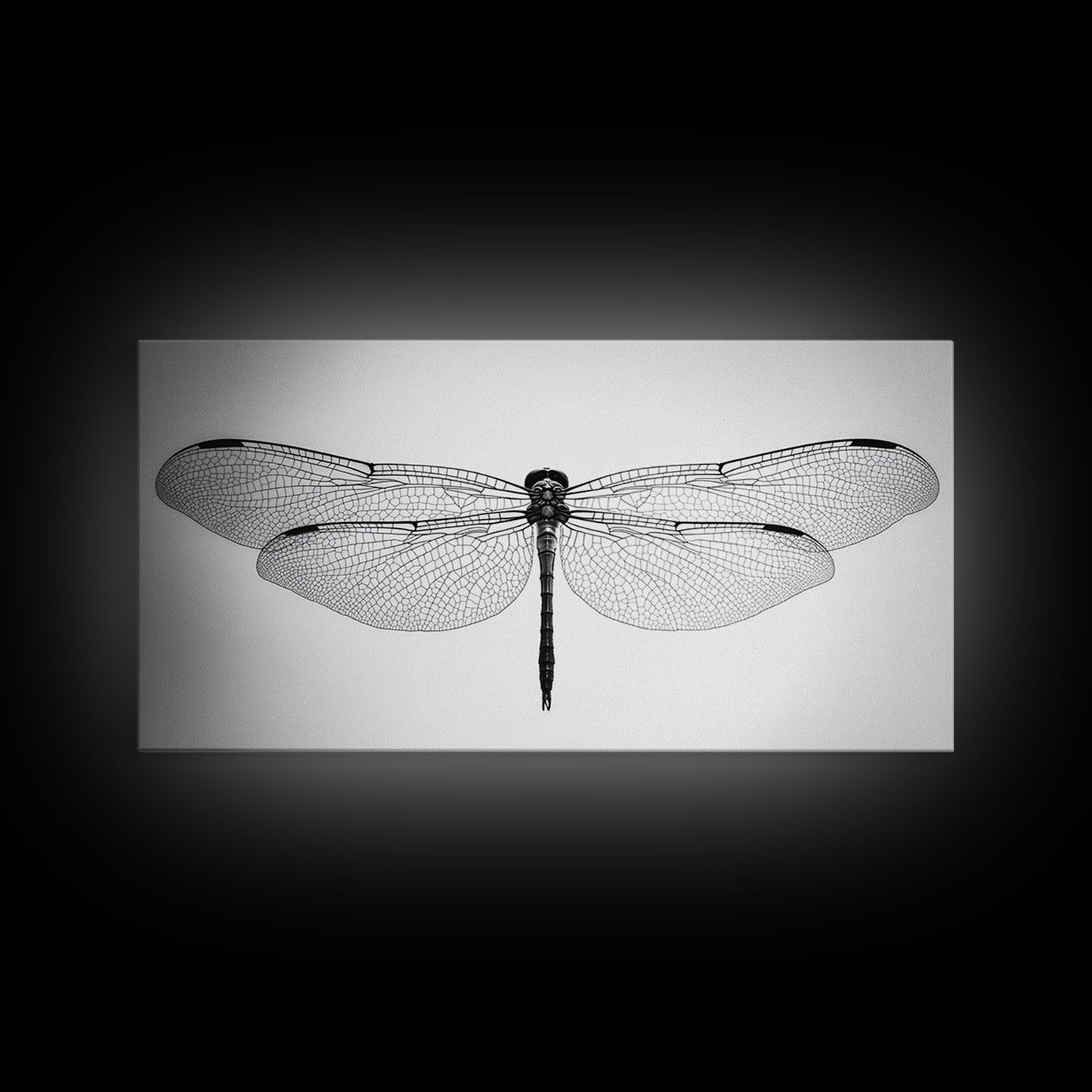 Dragonfly, line art, minimalist art, black and white art, nature painting, botanical prints, extra wide art, framed canvas print