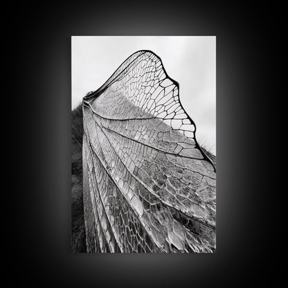 Dragonfly Wing, nature photography, moody art, wabi sabi art, minimalist art, botanical prints, framed canvas print, rustic wall art