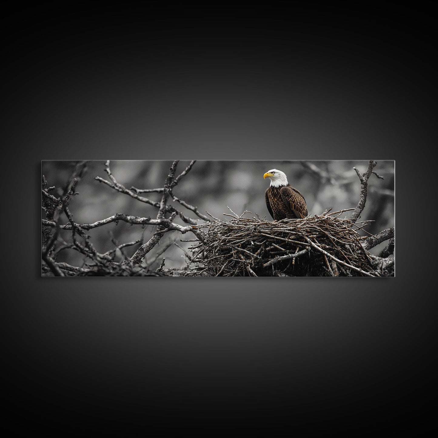 Bald Eagle, Nature Wall Art, Rustic Art, Wildlife Photography, Bird Art, Above Sofa Art, Panoramic Art, Framed Canvas Print