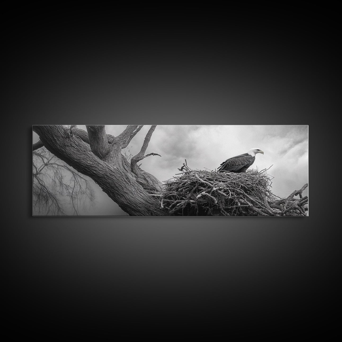 Bald Eagle Nest, Wildlife Art, Nature Photography, Moody Art, Rustic Decor, Horizontal Wall Art, Framed Canvas Print, Bedroom Art