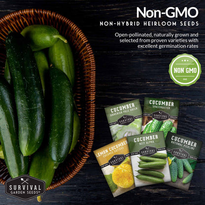 Cucumber Seed Collection – Armenian, Beit Alpha, Lemon, National Pickling & Spacemaster Varieties