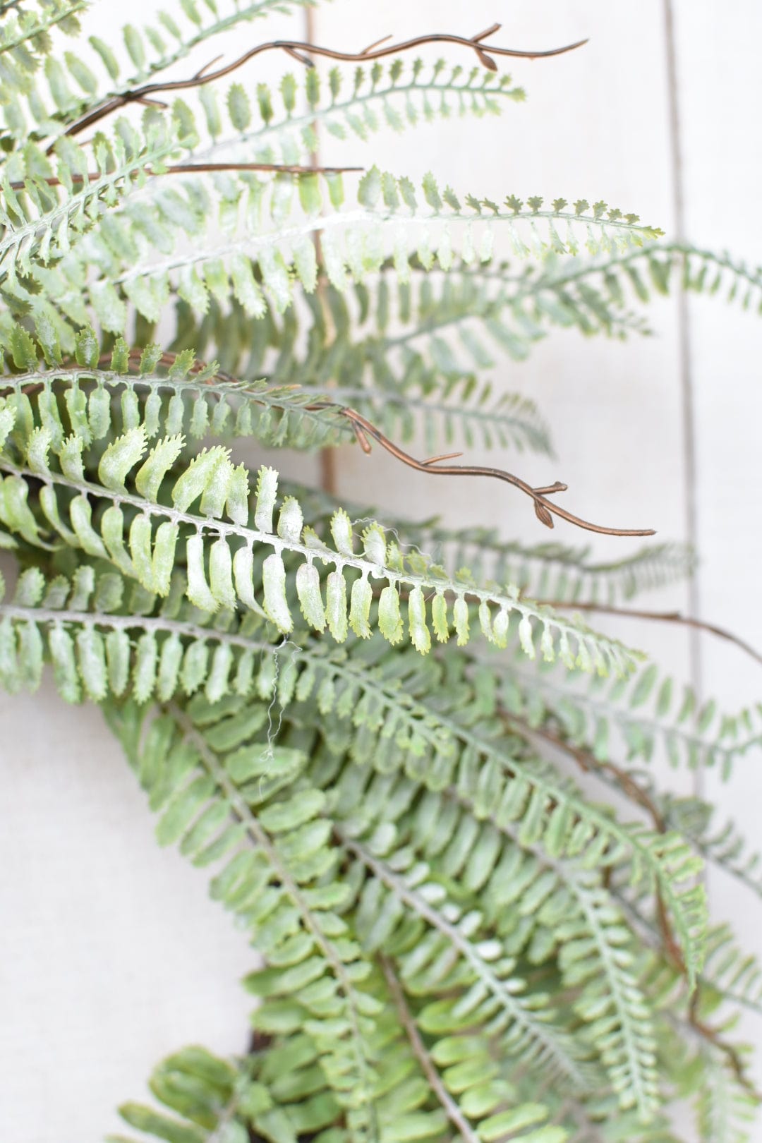 24" Faux Forest Fern Wreath