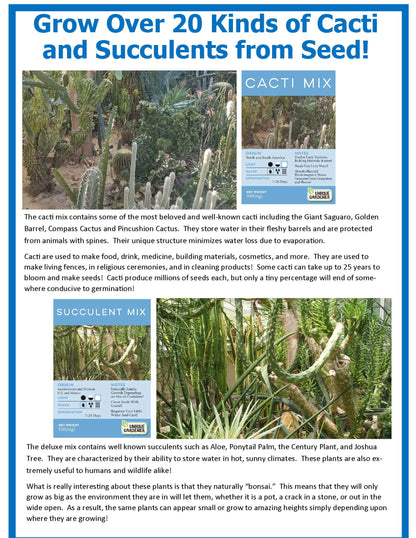 Desert Escape Growarium Succulent and Cacti Seed Terrarium Kit