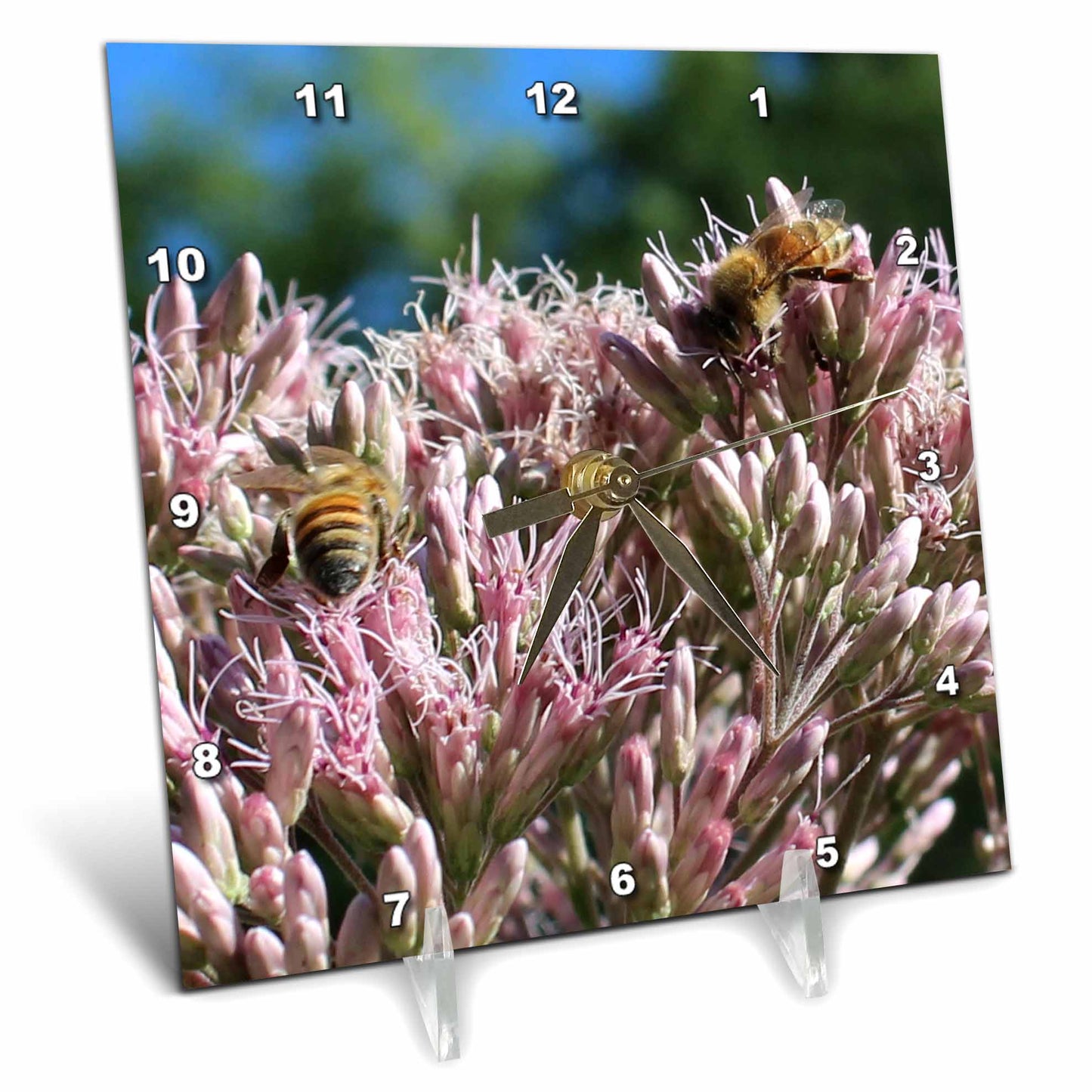 3dRose Cassie Peters Bees - Honey Bees on Swamp Milkweed - Desk Clocks (dc_326239)