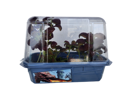Dragons Den Mini World Terrarium