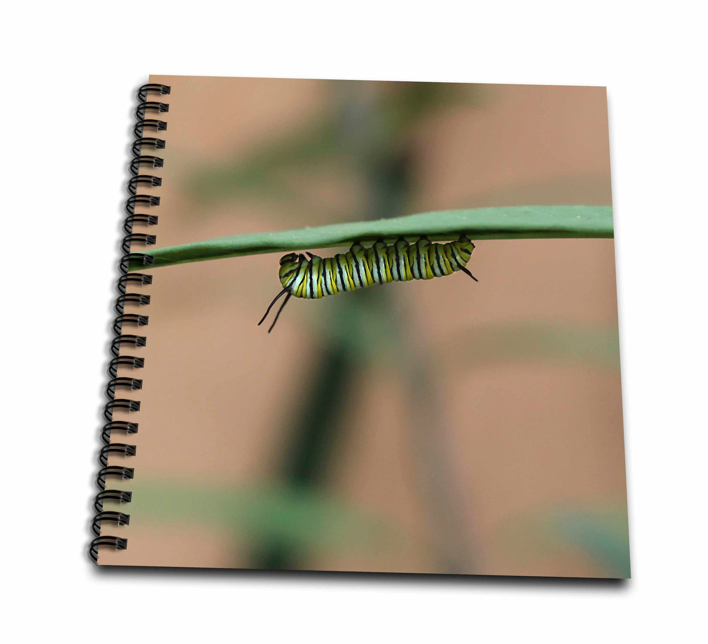 3dRose Stamp City - Insects - Photograph of a Monarch Caterpillar chowing Down on a Milkweed Plant. - Drawing Book