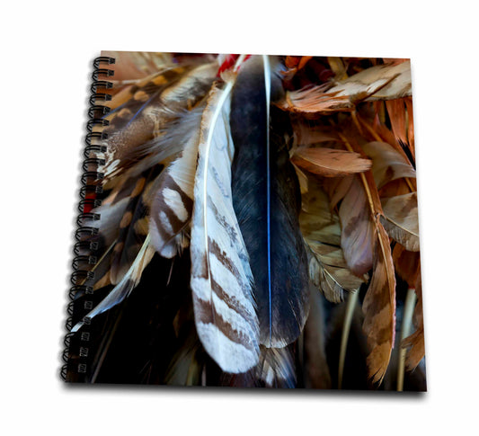 3dRose Image of Bird Feathers. A Decoration of Native American Headdress - Drawing Books (db_325875)